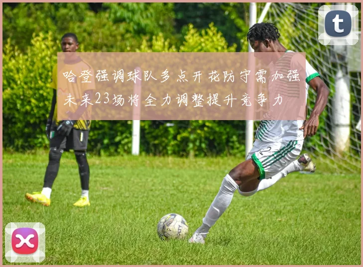 哈登强调球队多点开花防守需加强未来23场将全力调整提升竞争力