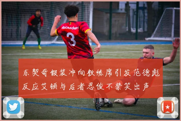 东契奇假装冲向教练席引发范德彪反应艾顿与后者忍俊不禁笑出声