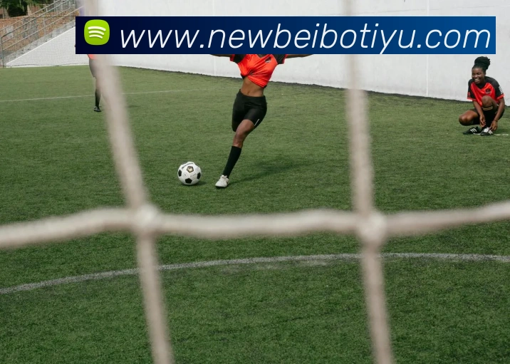 贝博体育平台生态图