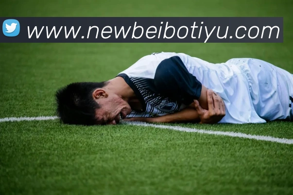 贝博体育APP 封面图